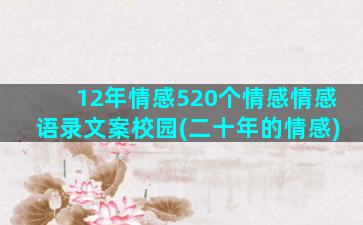 12年情感520个情感情感语录文案校园(二十年的情感)