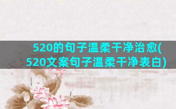 520的句子温柔干净治愈(520文案句子温柔干净表白)