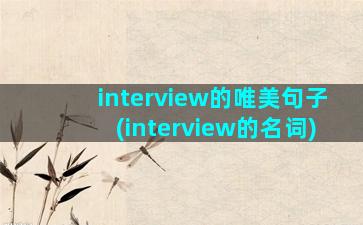 interview的唯美句子(interview的名词)