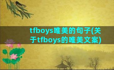 tfboys唯美的句子(关于tfboys的唯美文案)