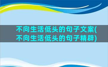 不向生活低头的句子文案(不向生活低头的句子精辟)