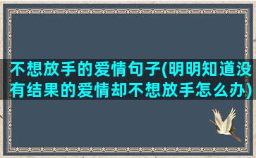 不想放手的爱情句子(明明知道没有结果的爱情却不想放手怎么办)