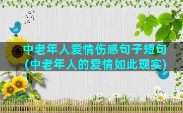 中老年人爱情伤感句子短句(中老年人的爱情如此现实)