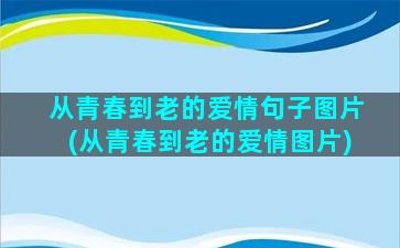 从青春到老的爱情句子图片(从青春到老的爱情图片)