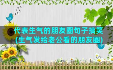 代表生气的朋友圈句子搞笑(生气发给老公看的朋友圈)