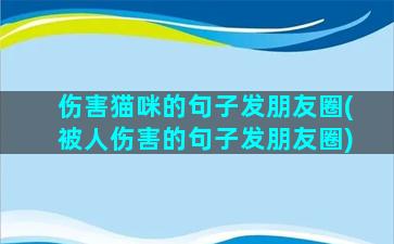 伤害猫咪的句子发朋友圈(被人伤害的句子发朋友圈)