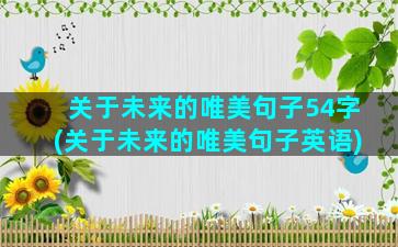 关于未来的唯美句子54字(关于未来的唯美句子英语)