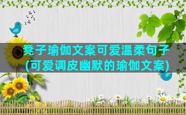 凳子瑜伽文案可爱温柔句子(可爱调皮幽默的瑜伽文案)