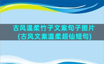 古风温柔竹子文案句子图片(古风文案温柔超仙短句)