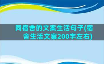 同宿舍的文案生活句子(宿舍生活文案200字左右)