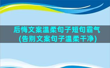 后悔文案温柔句子短句霸气(告别文案句子温柔干净)