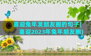 喜迎兔年发朋友圈的句子(喜迎2023年兔年朋友圈)