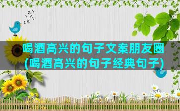 喝酒高兴的句子文案朋友圈(喝酒高兴的句子经典句子)