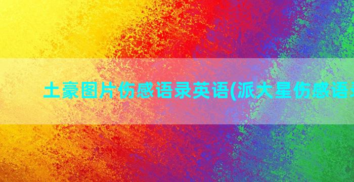 土豪图片伤感语录英语(派大星伤感语录图片)