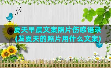 夏天早晨文案照片伤感语录(发夏天的照片用什么文案)