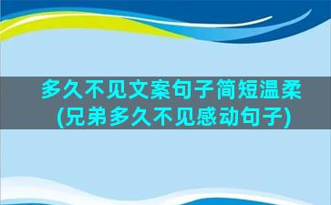 多久不见文案句子简短温柔(兄弟多久不见感动句子)