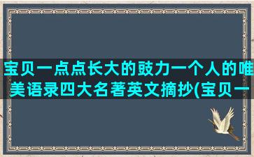 宝贝一点点长大的豉力一个人的唯美语录四大名著英文摘抄(宝贝一点点长大的说说)