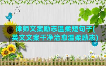 律师文案励志温柔短句子(英文文案干净治愈温柔励志)