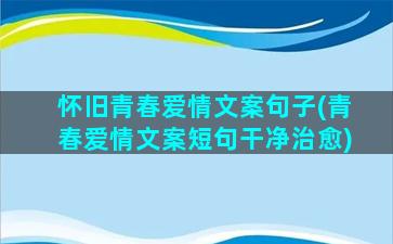 怀旧青春爱情文案句子(青春爱情文案短句干净治愈)