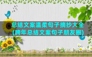 总结文案温柔句子摘抄大全(跨年总结文案句子朋友圈)