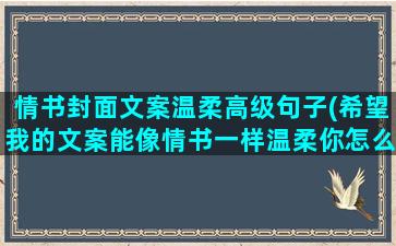 情书封面文案温柔高级句子(希望我的文案能像情书一样温柔你怎么说)