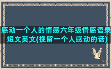 感动一个人的情感六年级情感语录短文英文(挽留一个人感动的话)