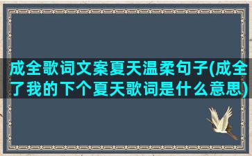 成全歌词文案夏天温柔句子(成全了我的下个夏天歌词是什么意思)