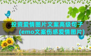 投资爱情图片文案高级句子(emo文案伤感爱情图片)