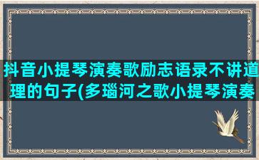 抖音小提琴演奏歌励志语录不讲道理的句子(多瑙河之歌小提琴演奏)