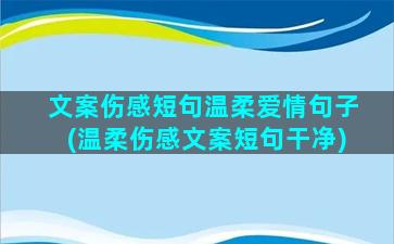 文案伤感短句温柔爱情句子(温柔伤感文案短句干净)