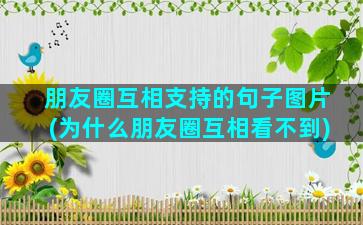 朋友圈互相支持的句子图片(为什么朋友圈互相看不到)