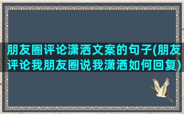 朋友圈评论潇洒文案的句子(朋友评论我朋友圈说我潇洒如何回复)