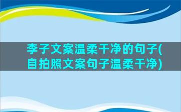 李子文案温柔干净的句子(自拍照文案句子温柔干净)