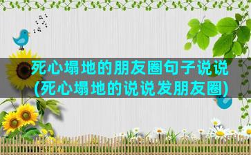 死心塌地的朋友圈句子说说(死心塌地的说说发朋友圈)