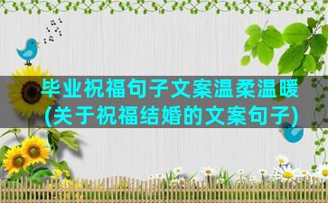 毕业祝福句子文案温柔温暖(关于祝福结婚的文案句子)