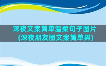 深夜文案简单温柔句子图片(深夜朋友圈文案简单男)