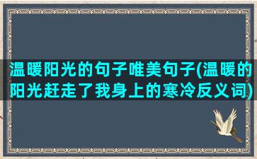 温暖阳光的句子唯美句子(温暖的阳光赶走了我身上的寒冷反义词)