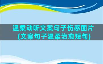 温柔动听文案句子伤感图片(文案句子温柔治愈短句)