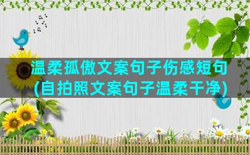 温柔孤傲文案句子伤感短句(自拍照文案句子温柔干净)