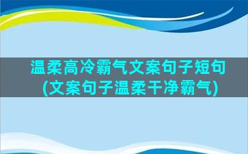 温柔高冷霸气文案句子短句(文案句子温柔干净霸气)