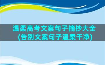 温柔高考文案句子摘抄大全(告别文案句子温柔干净)