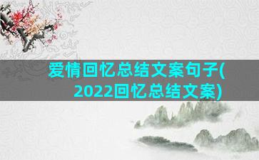 爱情回忆总结文案句子(2022回忆总结文案)