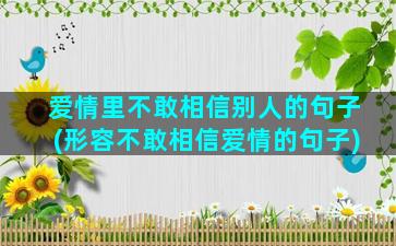 爱情里不敢相信别人的句子(形容不敢相信爱情的句子)