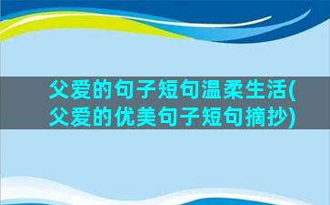 父爱的句子短句温柔生活(父爱的优美句子短句摘抄)