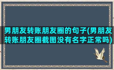 男朋友转账朋友圈的句子(男朋友转账朋友圈截图没有名字正常吗)