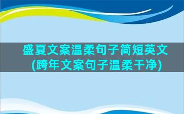 盛夏文案温柔句子简短英文(跨年文案句子温柔干净)