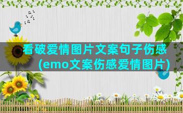 看破爱情图片文案句子伤感(emo文案伤感爱情图片)