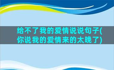 给不了我的爱情说说句子(你说我的爱情来的太晚了)