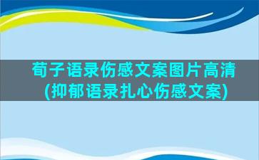 荀子语录伤感文案图片高清(抑郁语录扎心伤感文案)