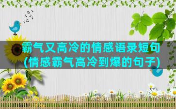 霸气又高冷的情感语录短句(情感霸气高冷到爆的句子)